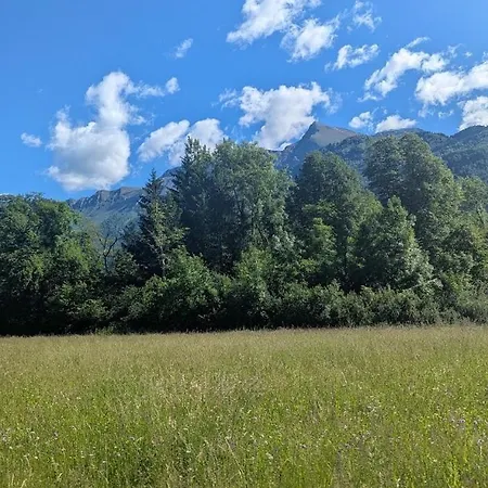Lilija *